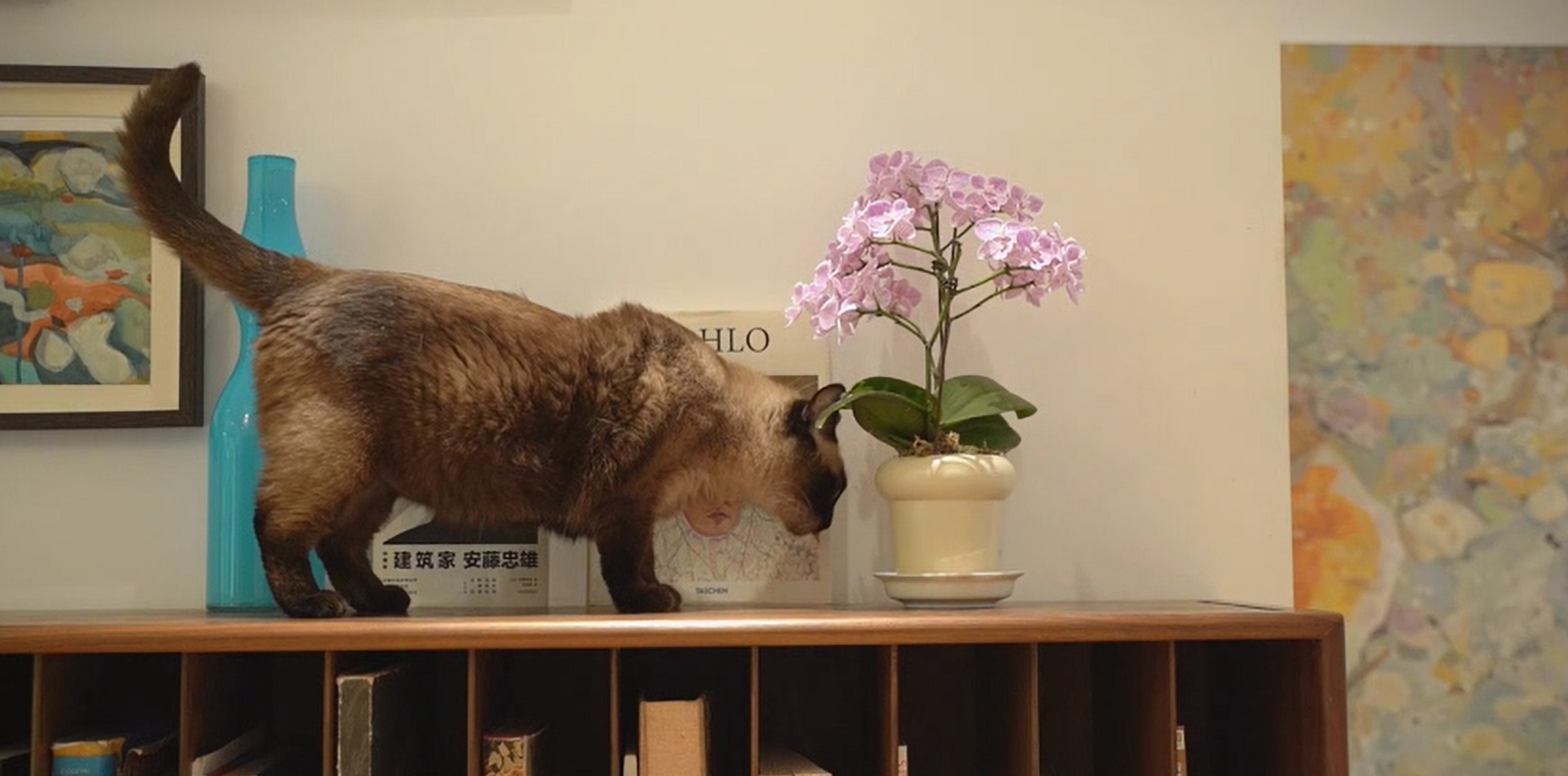 正泰T7开关业主探访录（2）